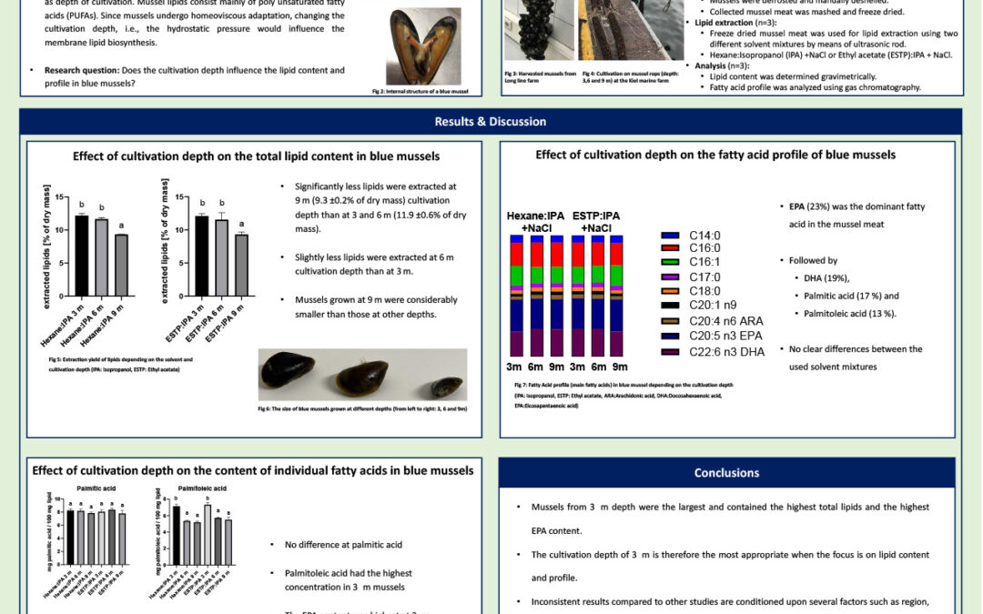 LAMI-012: Impact of cultivation depth on lipids in blue mussels from Kiel fjord