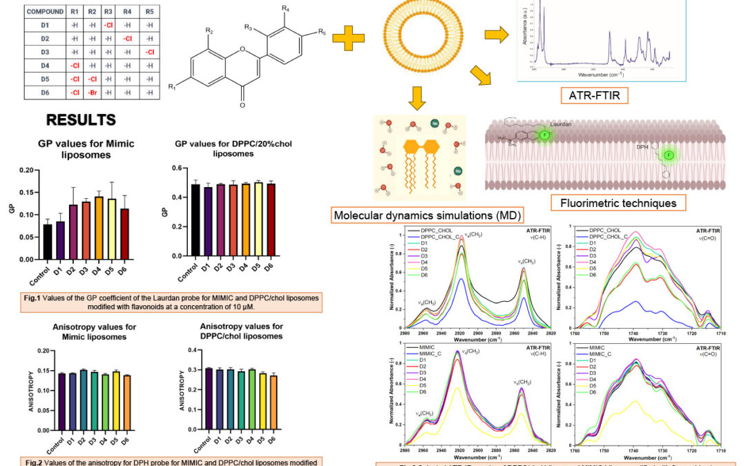 OTTO-004: Unveiling the Structural Interplay: Investigating the Interaction of Halogenated Flavonoids with Liposomes as Biomembrane Models