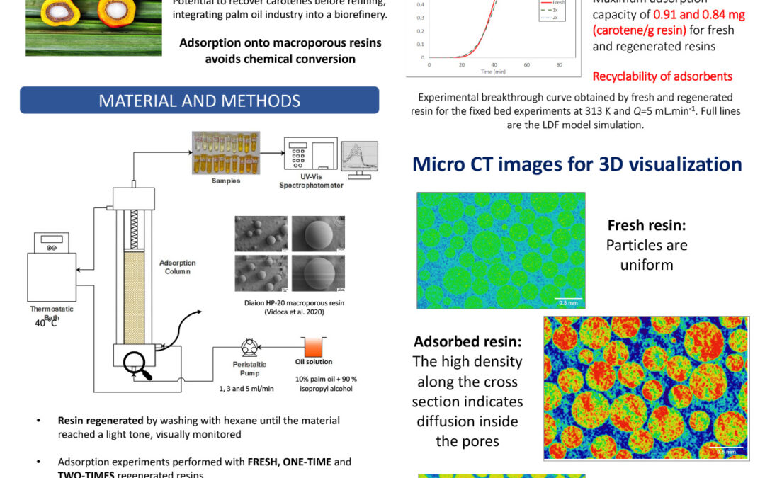 PROC-011: Adsorption of Carotenes from Crude Palm Oil onto Macroporous Polymeric Resin: A microCT Analysis