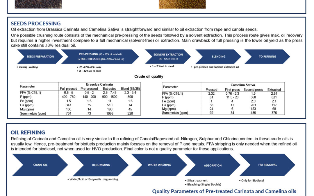 PROC-016: Brassica Carinata & Camelina Sativa: Potential New Biofuel Feedstocks