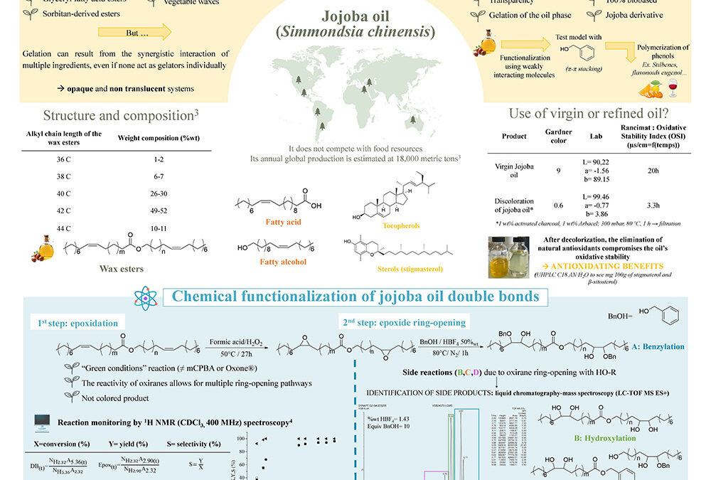 OLEO-001: Synthesis of Biobased Rheology Modifiers for Cosmetic Applications