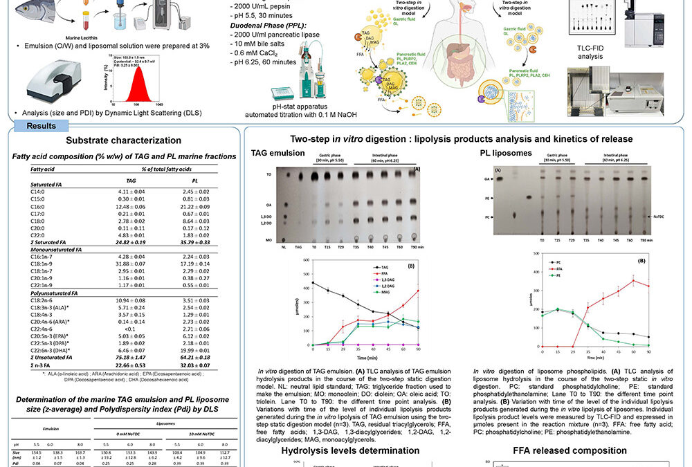HND-007: Comparative in vitro Lipolysis Study of LC-PUFA-rich Marine Liposomes and Emulsions by Phospholipases under Simulated Gastrointestinal Conditions