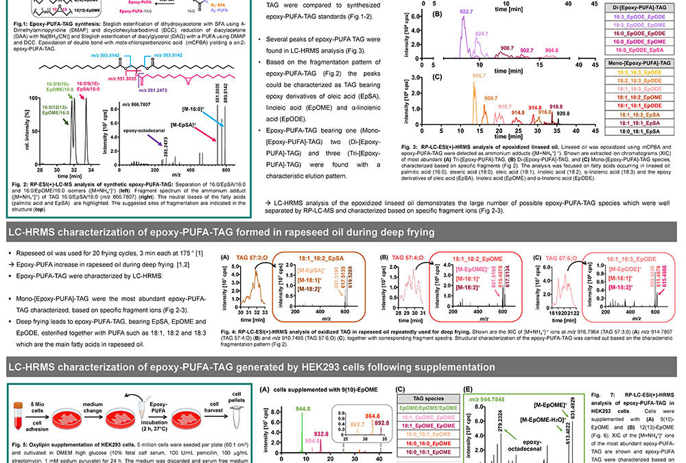 LITE-003: LC-MS Characterization of Epoxy-triacylglycerols Occurring in Vegetable Oils