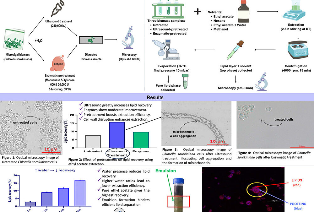 LAMI-004: Enhancing lipid recovery from Chlorella sorokiniana through pretreatment and solvent optimization